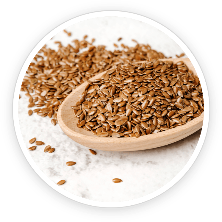 Flax Seeds- GutOptim Ingredient